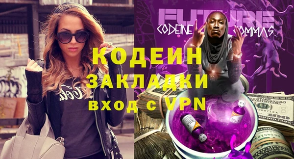 прущие грибы Богородицк