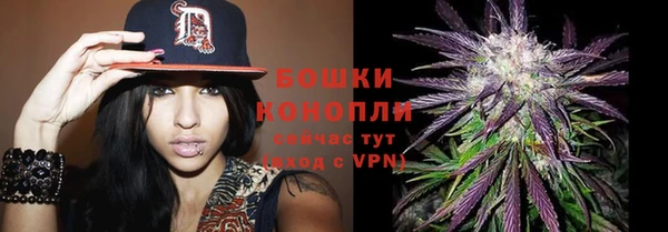 гидра Богданович