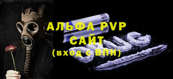 гидра Богданович