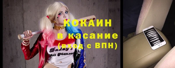 прущие грибы Богородицк