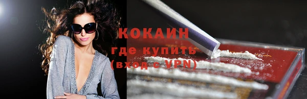 гидра Богданович