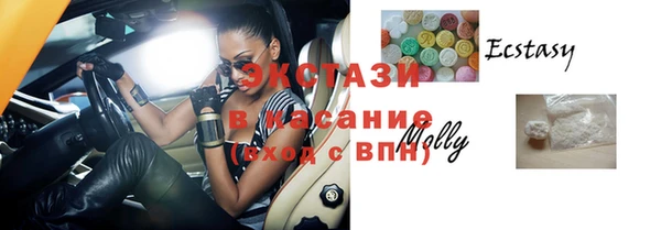 гидра Богданович