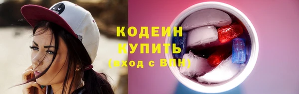 прущие грибы Богородицк