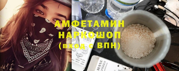 прущие грибы Богородицк