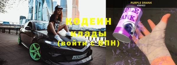 гидра Богданович
