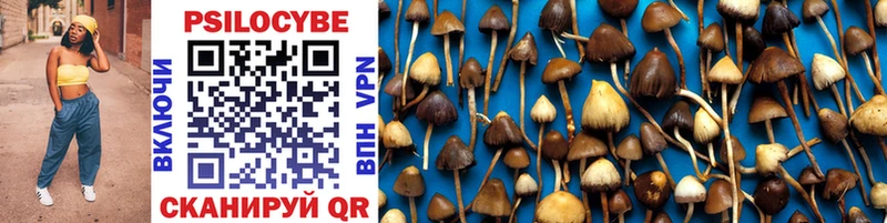Псилоцибиновые грибы MAGIC MUSHROOMS  Новомичуринск 